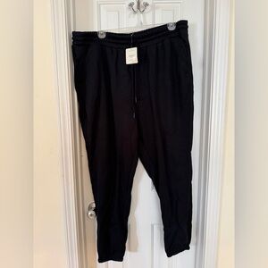 Fabletics Cozy Fleece Go-To Sweatpant 2X